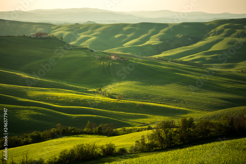 Tuscany landscape in spring green meadows of italia
