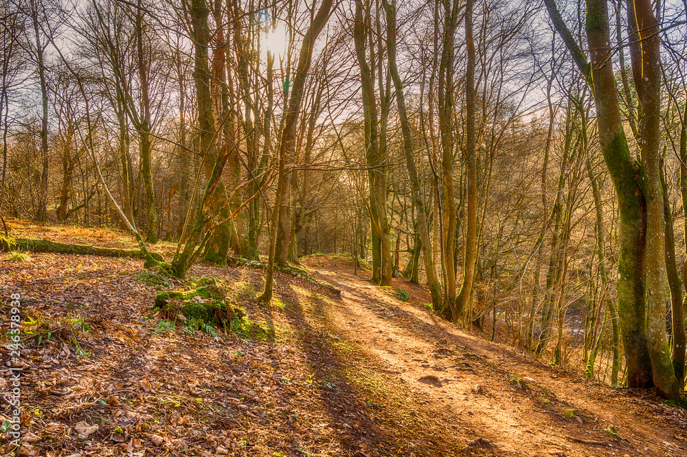 Obraz premium The Darn Road