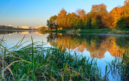 Fototapeta Naklejka Na Ścianę i Meble -  Evening on the lake, golden autumn, Moscow, Russia