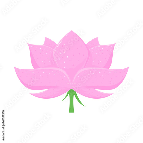 Fototapeta Naklejka Na Ścianę i Meble -  Lotus Flower