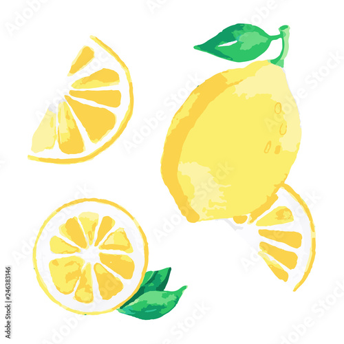 Watercolor Lemon on white background. Fresh lemon fruits, collection of vector illustrations 