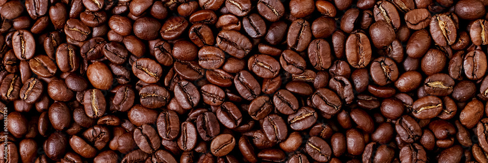 Fototapeta premium Aroma roasted coffee beans, brown banner background. Soft focus close up.