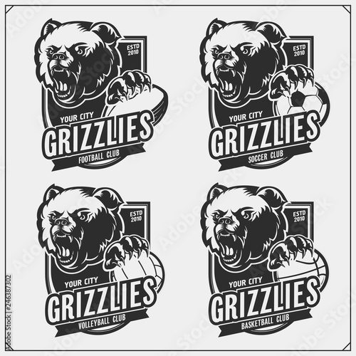 Volleyball, baseball, soccer and football logos and labels. Sport club emblems with grizzly bear. Print design for t-shirts.