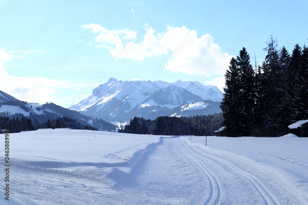 Obraz premium Landschaft mit jeder Menge Schnee