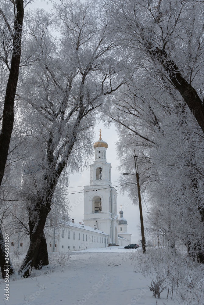 View of the Yuriev Monastery through the trees in hoarfrost. Winter landscape with trees in hoarfrost
