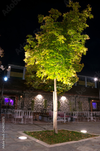 Tables and chairs in a cafe between trees in front of a stone-built building at night photo