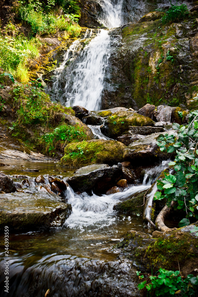 Mountain waterfall in summer forest. River with wet stones and plants on shore. Mountain waterfall in summer forest. River with wet stones and plants on shore.