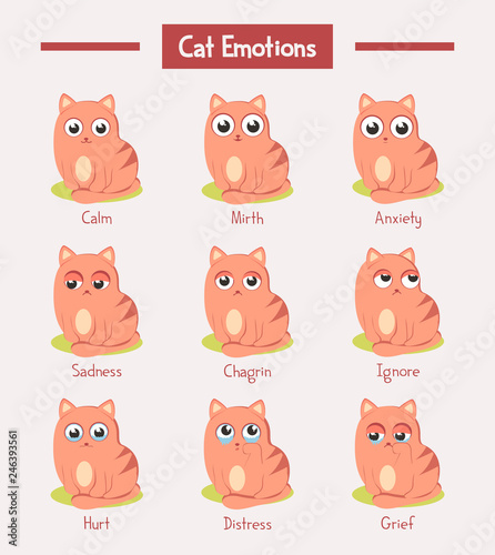 Cartoon cats or kitten with face emotions