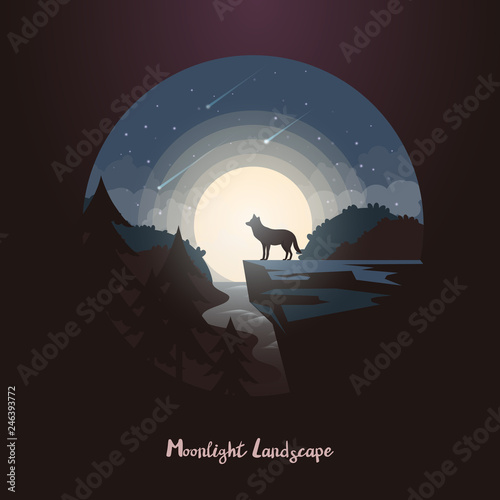 Wolf animal on rock or cliff at night forest.
