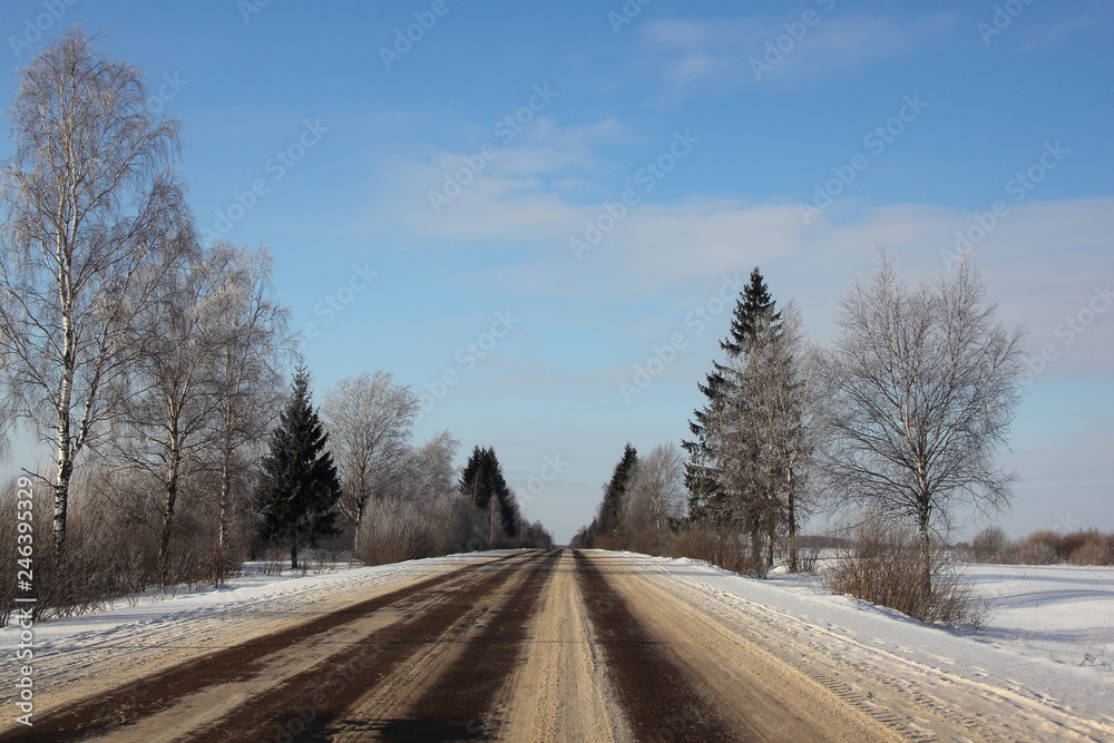 Obraz premium Two way winter road on trees and blue sky background