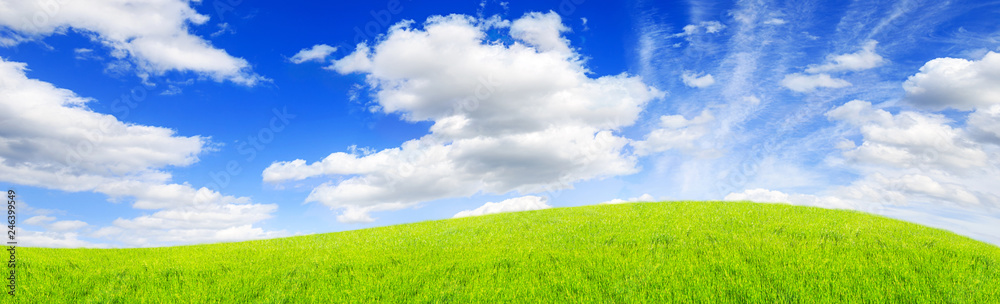 green field and blue sky with clouds Sunny day, beautiful rural landscape, panoramic banner