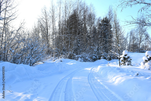 road in winter forest © tanzelya888