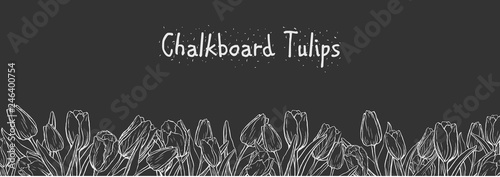 Chalkboard flat horizontal banner with outline tulips on black background #246400754