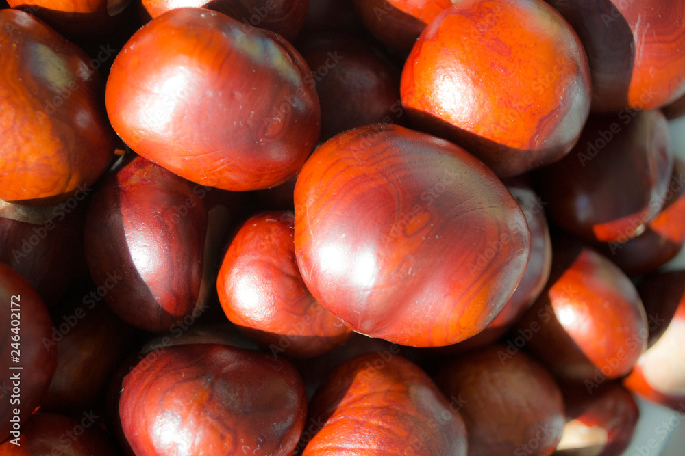 Fototapeta premium chestnuts close up