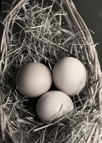 Three eggs photo