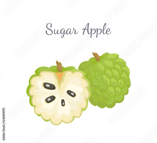 Leinwand Poster Sugar-apple, sweetsop, or custard apple, Annona squamosa, exotic juicy fruit whole and cut vector isolated