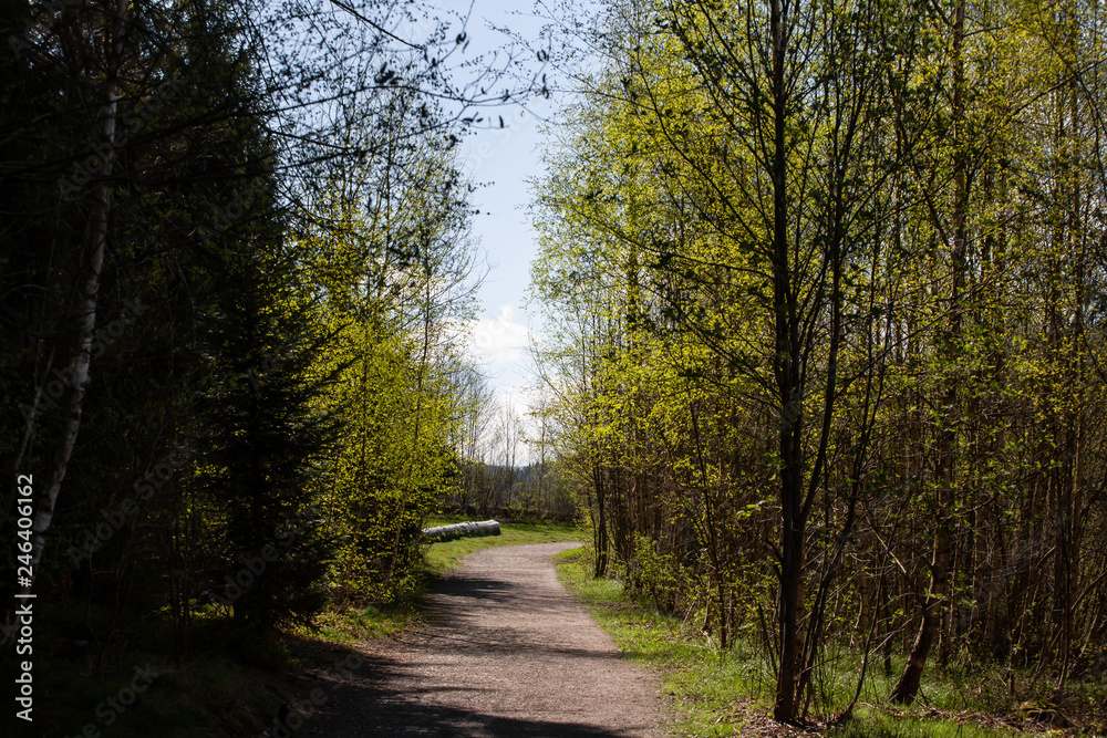 Obraz premium Landscape picture from the national park in Bavaria
