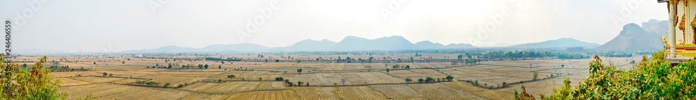 Rural crops panorama
