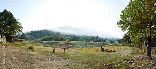 Fototapeta Naklejka Na Ścianę i Meble -  Rural crops panorama