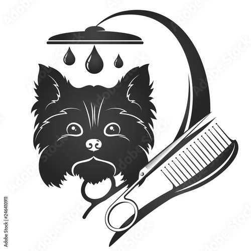 Trimming and washing pets vector
