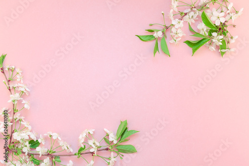 White spring cherry tree blooming brunch © dvoevnore