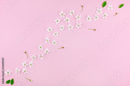 White spring cherry tree blooming flowers pattern