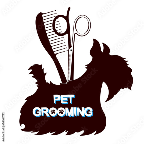 Scissors and comb grooming dogs and other pets