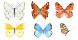 collection of colorful butterflies for your design. watercolor painting