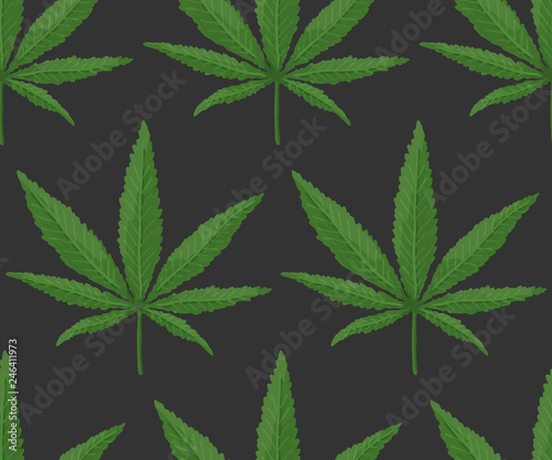 Cannabis Leaf Pattern. Endless Vector
