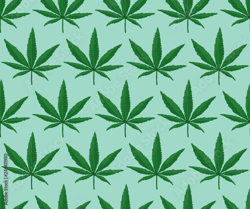 Cannabis Leaf Pattern. Endless Vector