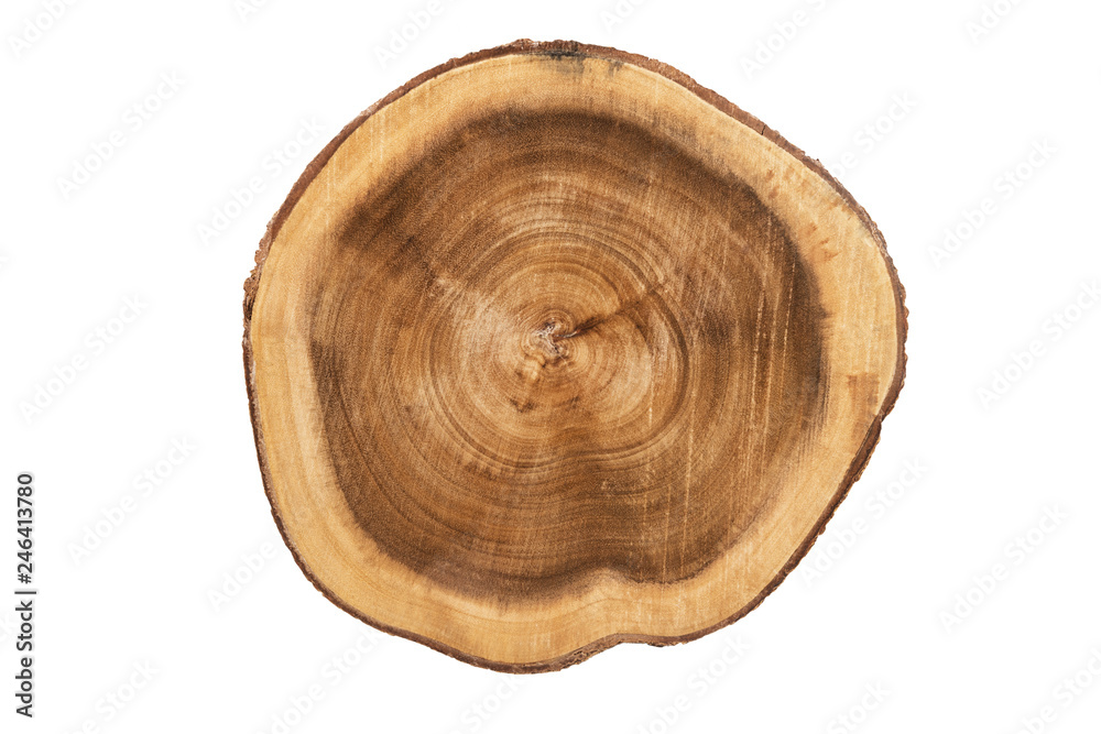 Real close up on a round wooden cut texture, directly above. Isolated on white background. Real close up on a round wooden cut texture, directly above. Isolated on white background.