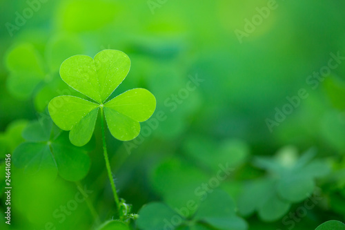 Irish Clover Leaf  for St. Patricks Day Background