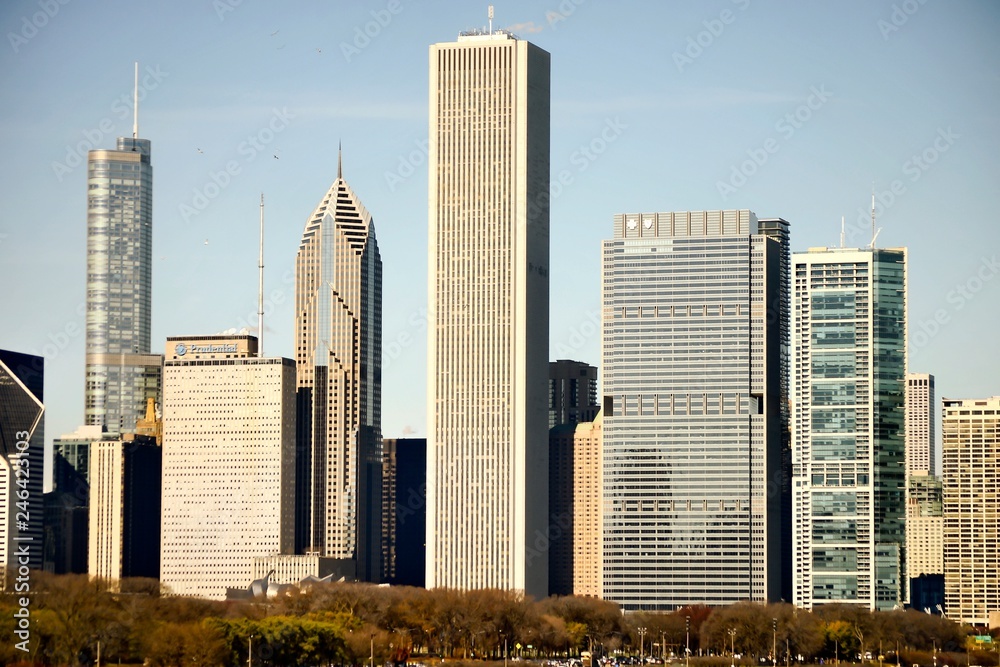 Fototapeta premium Chicago Skyline in November