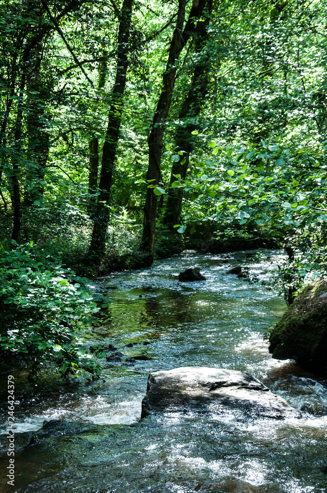 Obraz premium La Cazine / 6