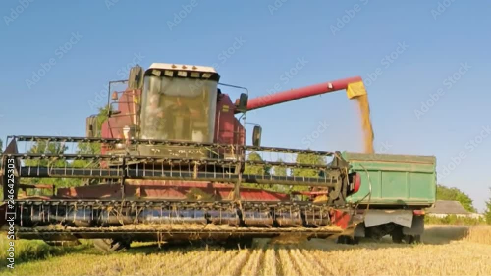 Tractor harvesting grain crops Tractor harvesting grain crops