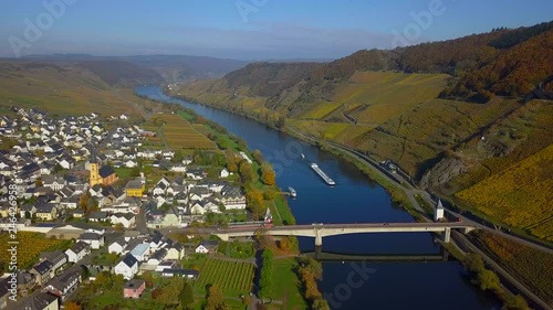 Aerial view of vineyards in autumn near Trittenheim, Moselle River, Moselle Valley, Rhineland-Palatinate, Germany photo