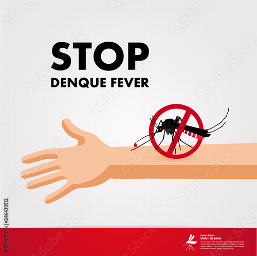 Stop denque fever and stop mosquito vector illustration. photo