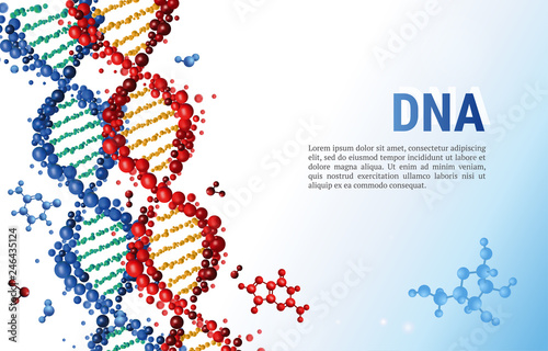 Red and blue DNA sequences background template for presentation, poster, web. Color vector illustration