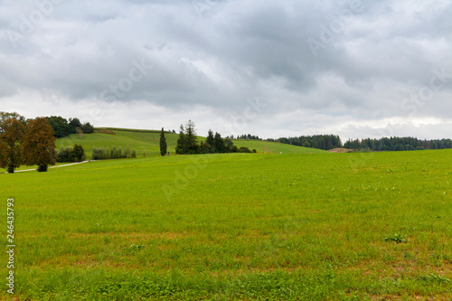 green field landscape