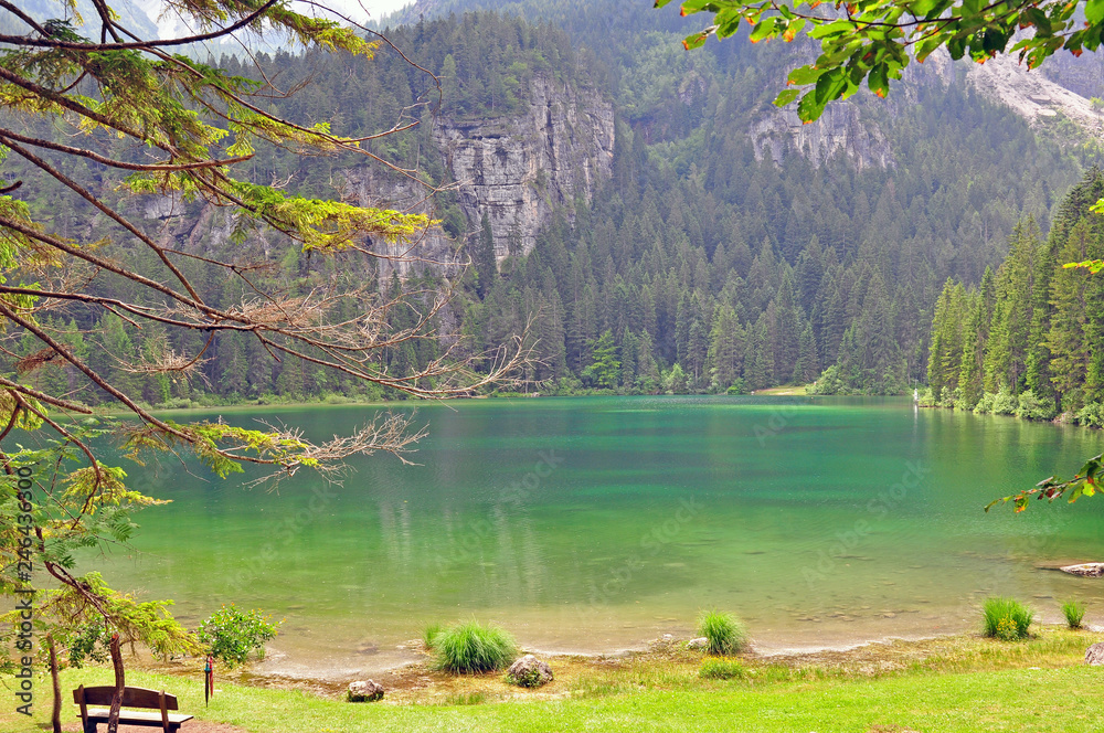 Fototapeta Niesamowita zielona woda alpejskiego jeziora