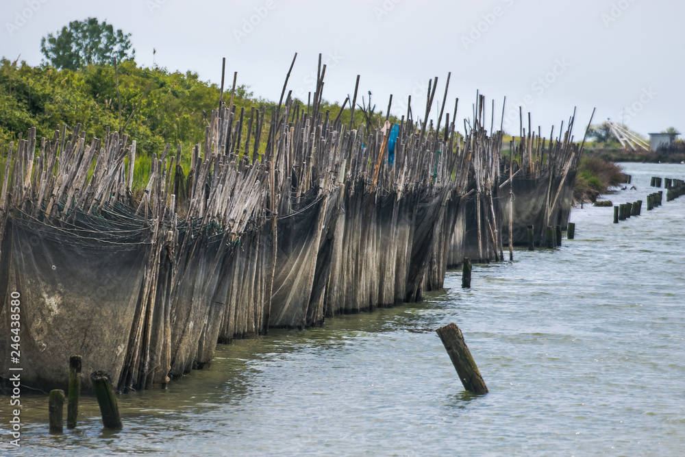 custom made wallpaper toronto digitalGoro