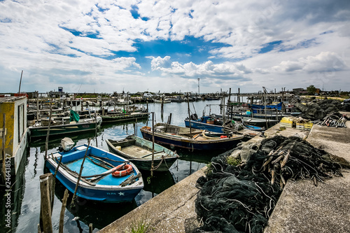 Wallpaper Mural Goro Torontodigital.ca
