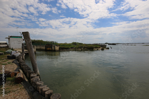 Wallpaper Mural Goro Torontodigital.ca
