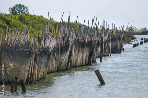 Wallpaper Mural Goro Torontodigital.ca
