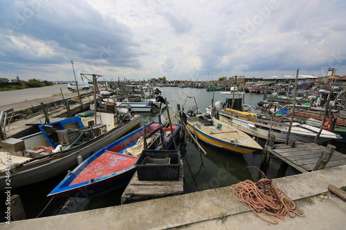 Wallpaper Mural Goro Torontodigital.ca
