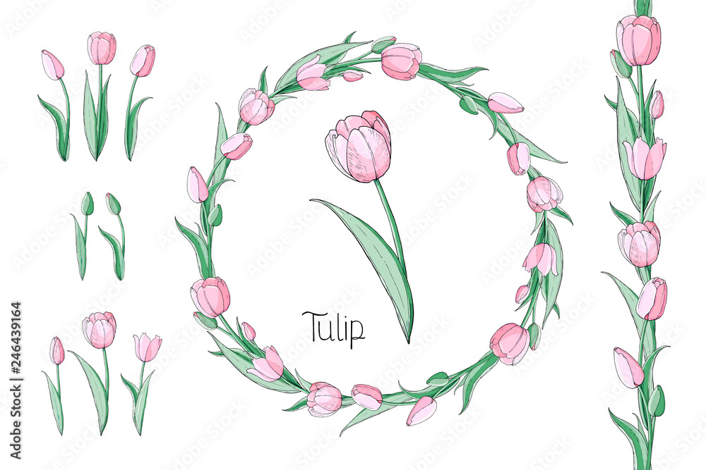 Stock vector floral set of seamless flower brush from pink tulips and beautiful wreath.  Isolated and hand drawn illustration. Floral design, flower backdrop. Festive hand drawn pattern,  spring.