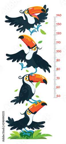 Meter wall or height chart with funny toucans