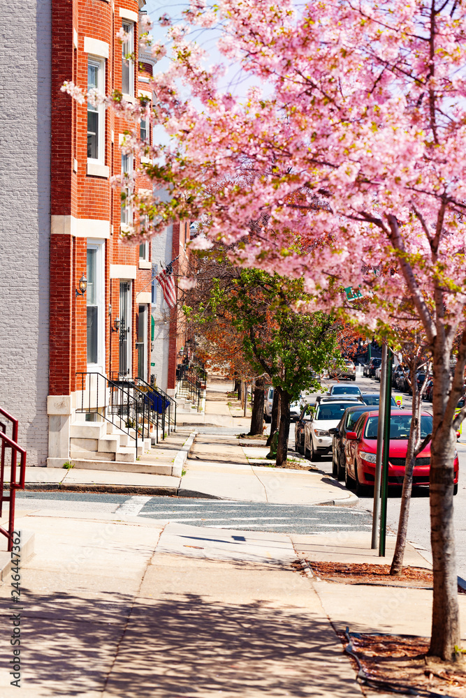 Sidewalks of Baltimore in spring, Maryland, USA