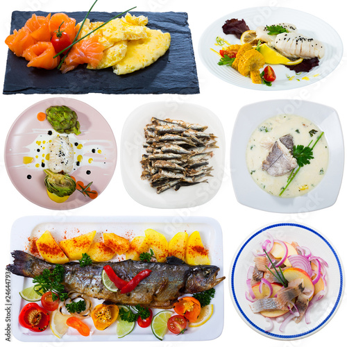 Collection of various fish dishes