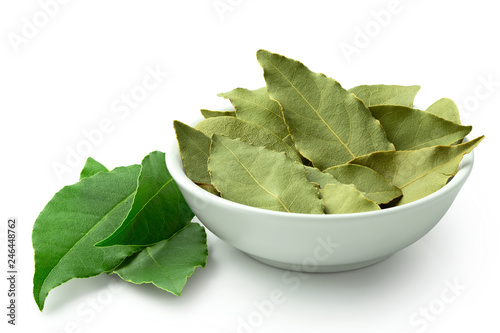 Dried bay leaves in white ceramic bowl next to fresh bay leaves isolated on white.